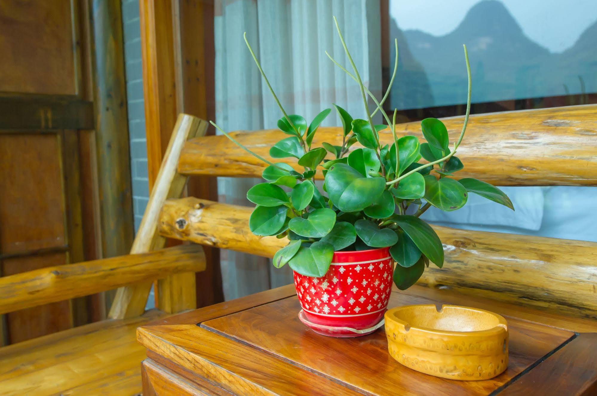 Yangshuo Scenic Mountain Retreat Hotel Eksteriør billede